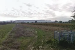 #4762 Terreno di 27.850 mq