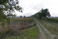 #4762 Terreno di 27.850 mq
