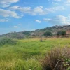 #20553 Terreno di 169.338 mq
