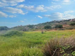 #20553 Terreno di 169.338 mq