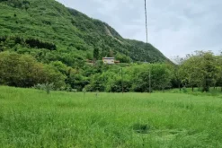 #20889 Terreno di 527 mq in contesto pedemontano
