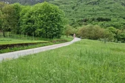 #20889 Terreno di 527 mq in contesto pedemontano