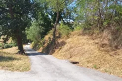 #24123 Terreno edificabile a sviluppo residenziale