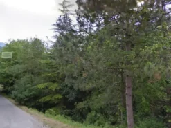#477 Terreno edificabile con area di rispetto ambientale
