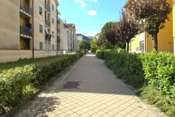 #24546 Terreno edificabile con aree da cedere al Comune