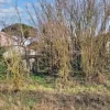 #20199 Terreno edificabile con fabbricati rurali da demolire
