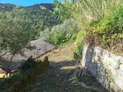 #24776 Terreno edificabile con progetto approvato e con struttura portante e tetto completate