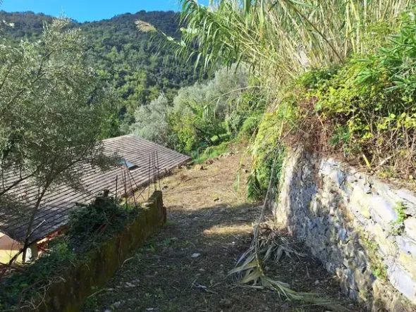 #24776 Terreno edificabile con progetto approvato e con struttura portante e tetto completate
