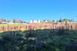 #25500 Terreno edificabile di 5.410 mq