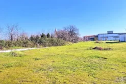 #25499 Terreno edificabile di 14.062 mq