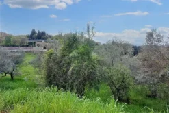 #20712 Terreno edificabile di 5701 mq