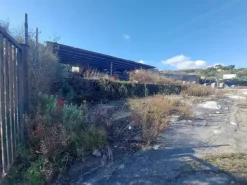 #23069 Terreno edificabile di 7.383 mq