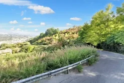 #23360 Terreno edificabile di 17.750 mq