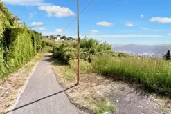 #23360 Terreno edificabile di 17.750 mq