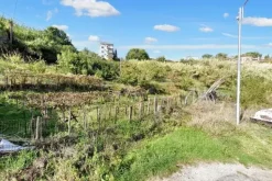 #23360 Terreno edificabile di 17.750 mq