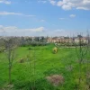 #20712 Terreno edificabile di 5701 mq