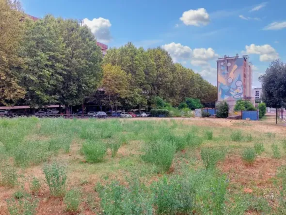 #21621 Terreno edificabile direzionale di 2.700 mq
