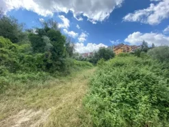 #18616 Terreno edificabile ed agricolo di 2.046 mq
