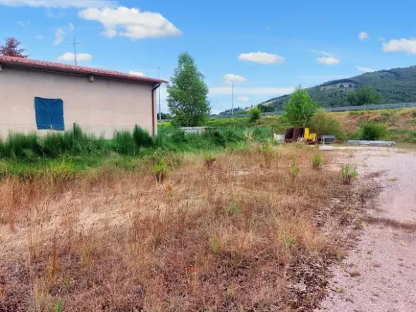 #21549 Terreno edificabile ed agricolo di 1.648 mq