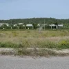 #24994 Terreno Edificabile - Industriale - Artigianale - Commerciale mq 7330