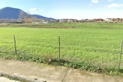 #2638552 Terreno edificabile per commercio e viabilità