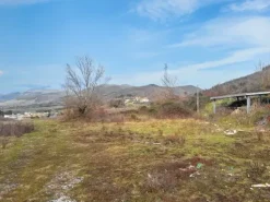 #2516003 Terreno edificabile per insediamenti produttivi