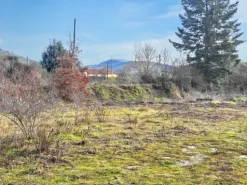 #2516003 Terreno edificabile per insediamenti produttivi