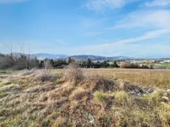 #2516003 Terreno edificabile per insediamenti produttivi