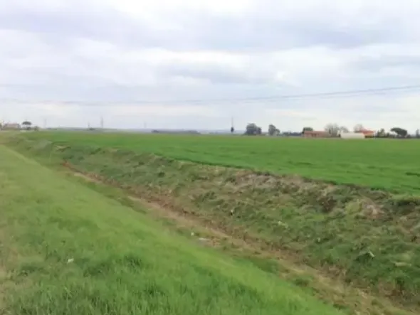 #18510 Terreno edificabile produttivo e agricolo