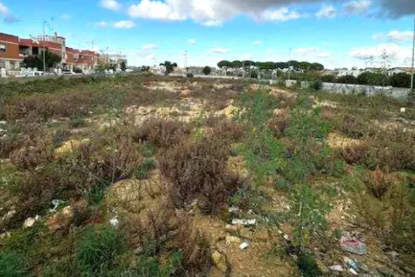 #2639698 Terreno edificabile residenziale di 3491 mq