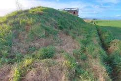 #20169 Terreno edificabile residenziale di 857 mq