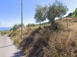 #2537118 Terreno edificabile residenziale 20.337 mq in zona collinare