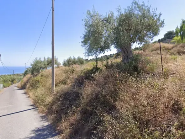 #2537118 Terreno edificabile residenziale 20.337 mq in zona collinare