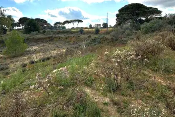 #2639700 Terreno edificabile residenziale di 1652 mq