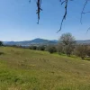 #12303 Terreno edificabile residenziale di 2.100 mq