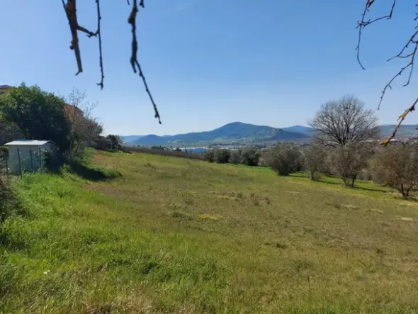 #12303 Terreno edificabile residenziale di 2.100 mq