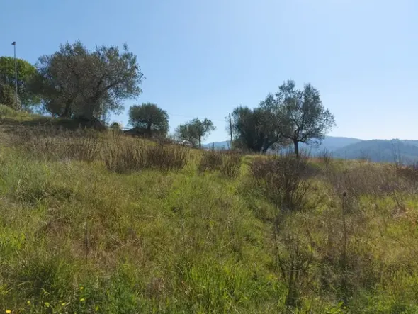 #12302 Terreno edificabile residenziale e agricolo di 5.805 mq