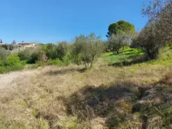 #12302 Terreno edificabile residenziale e agricolo di 5.805 mq