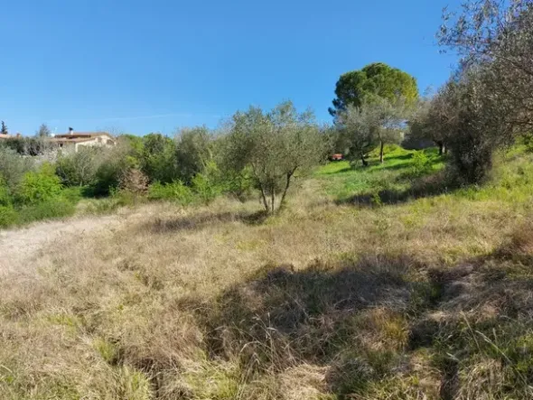 #12302 Terreno edificabile residenziale e agricolo di 5.805 mq