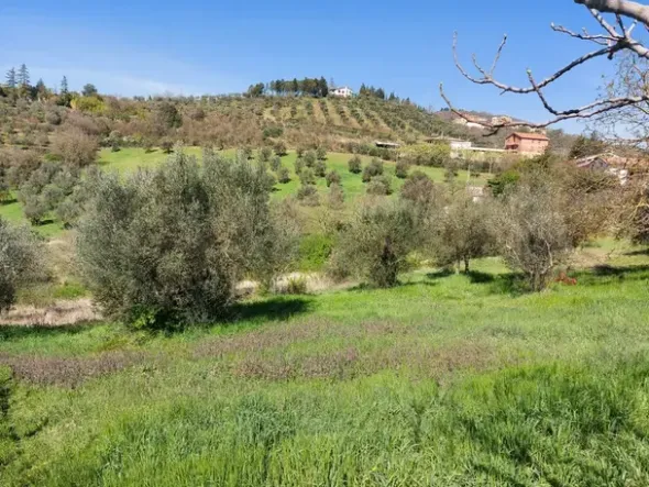 #12302 Terreno edificabile residenziale e agricolo di 5.805 mq