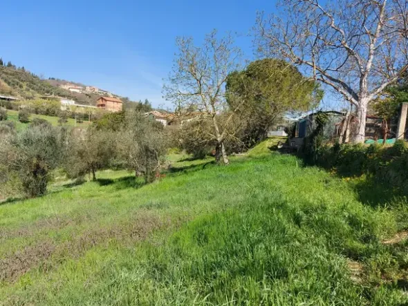 #12302 Terreno edificabile residenziale e agricolo di 5.805 mq
