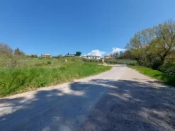 #20506 Terreno edificabile residenziale di 2.300 mq