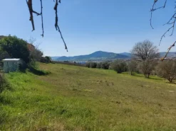 #12303 Terreno edificabile residenziale di 2.100 mq