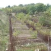 #6933 Terreno edificabile residenziale di 5.877 mq