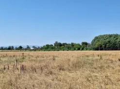 #2536204 Terreno edificabile residenziale di 800 mq