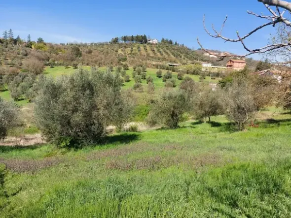 #12302 Terreno edificabile residenziale e agricolo di 5.805 mq