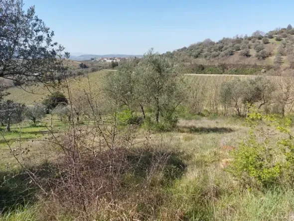 #12302 Terreno edificabile residenziale e agricolo di 5.805 mq