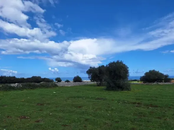 #24452 Terreno parzialmente edificabile vista mare con uliveto a Polignano a Mare