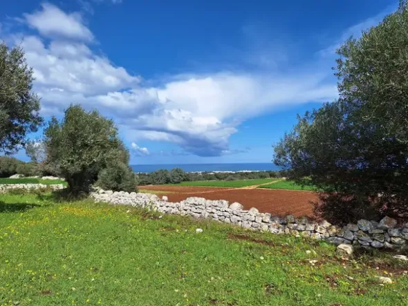#24452 Terreno parzialmente edificabile vista mare con uliveto a Polignano a Mare
