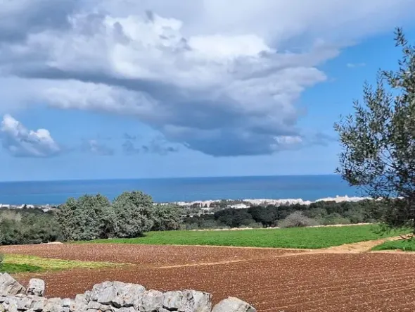 #24452 Terreno parzialmente edificabile vista mare con uliveto a Polignano a Mare